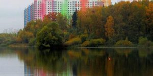 «Метриум»: Заповедные земли – какие проекты реализуются на нетронутых локациях Москвы