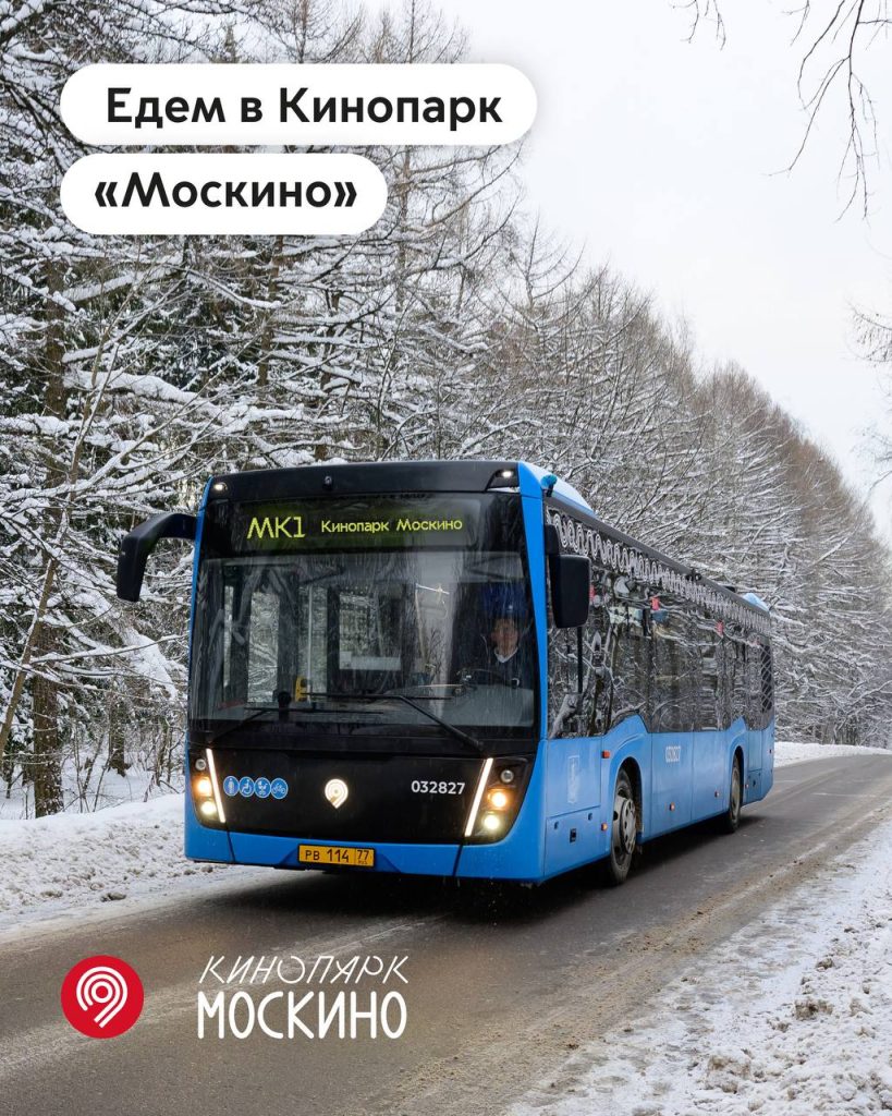 Мосгортранс запустил бесплатные шаттлы в кинопарк «Москино»
