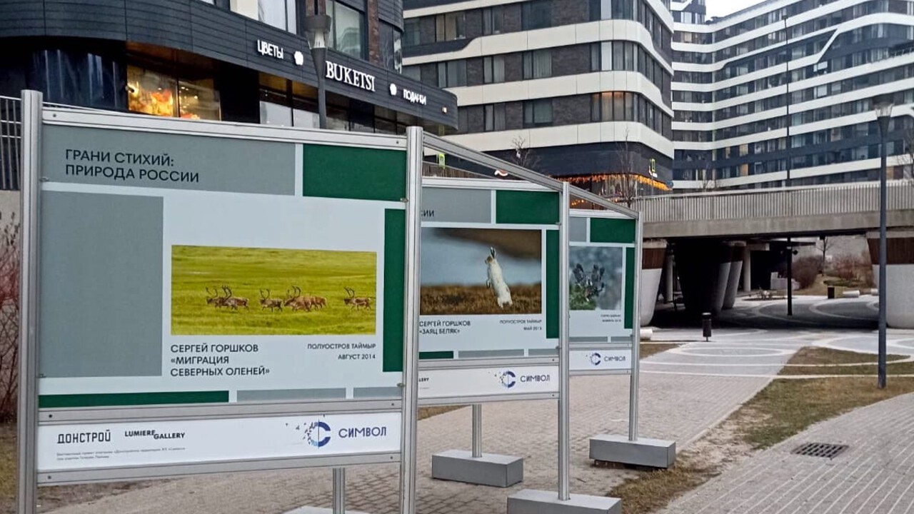 В «Символе» открылась фотовыставка о дикой природе