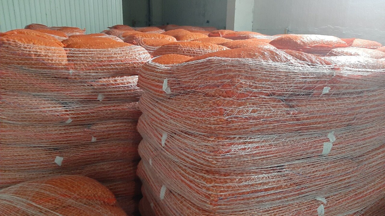 Татарстанцы получили свыше 30 тонн бесплатных семян овощей